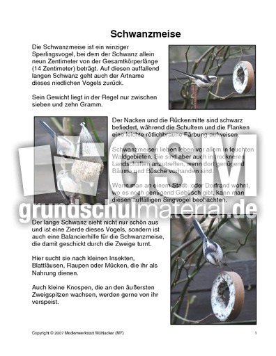 Steckbrief-Schwanzmeise.pdf